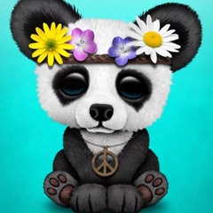 PandAttention (Valen Taylor Panda Edit)