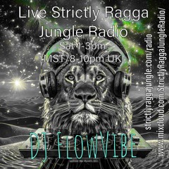 SRJ Live DJFlowVibe 4 - 13 - 2024 Short
