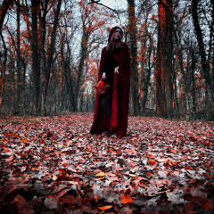 Red - Segment 3