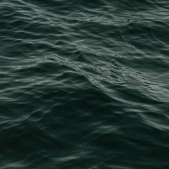 again(feat.Cranberry Bomb,Barbed Bear,充呂)