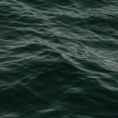 again(feat.Cranberry Bomb,Barbed Bear,充呂)