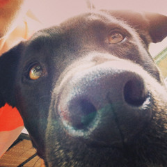 La La La, A Happy Song