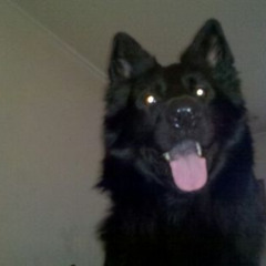 underground 808, songwars 2 thank you