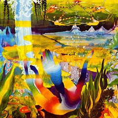 The Transient Universe