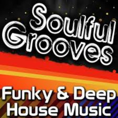 JAN 2025 Deep Funky House Mix