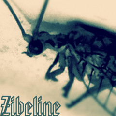 Zibeline