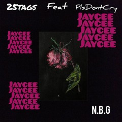 25tags feat PlsDontCry - Джейси