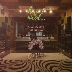 Brian CeeFH - Hold Me (pop-EDM)