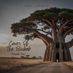 Perc Capsule - Caves of the Baobab [Sounds and Frequencies Recordings]