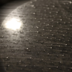 Soundscapes Journal 16 March 2025
