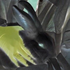 White Coat Killers (SAE 440)