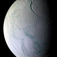 Janus