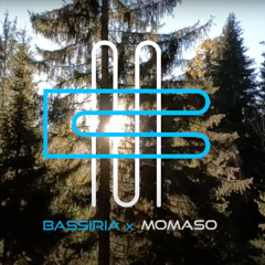 Elfwings @ Bassiria X Momaso - PSY-er Valley