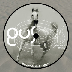 Arabian Horse - GusGus  (NΛTΛN SOLΛRIS Remix) FREE DL