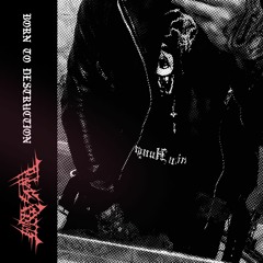 Born for Destruction ///