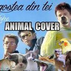 OZone  Dragosta Din Tei Animal Cover