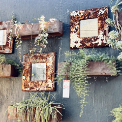 Mushroom People, Fairy Rings