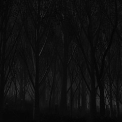 [FREE] trap x dark x creepy Type Beat "Haunted Forest" | Horror Trap Instrumental