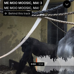 ME MOO MOOSIC, MA! 3