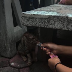 สถานะแทรกซึม