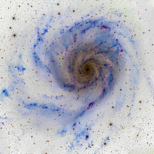 Pfirter - Gravity [PLL019]