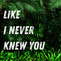 Like I Never Knew You