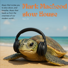 Slow House - Vol 3 (Mark MacLeod)