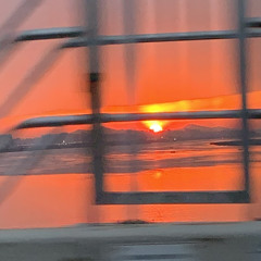 십구소년 표류기