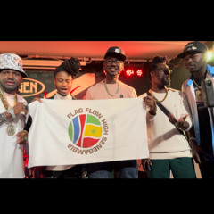 FLAG FLOW SENEGAMBIA ALLSTARS - FULL CONCERT ( MASTER ) backed by Budapest Riddim Band