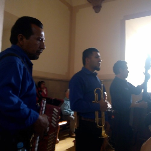 ENSAMBLE MUSICAL ZACOALCO DE TORRES - BUENOS DIAS PALOMA BLANCA