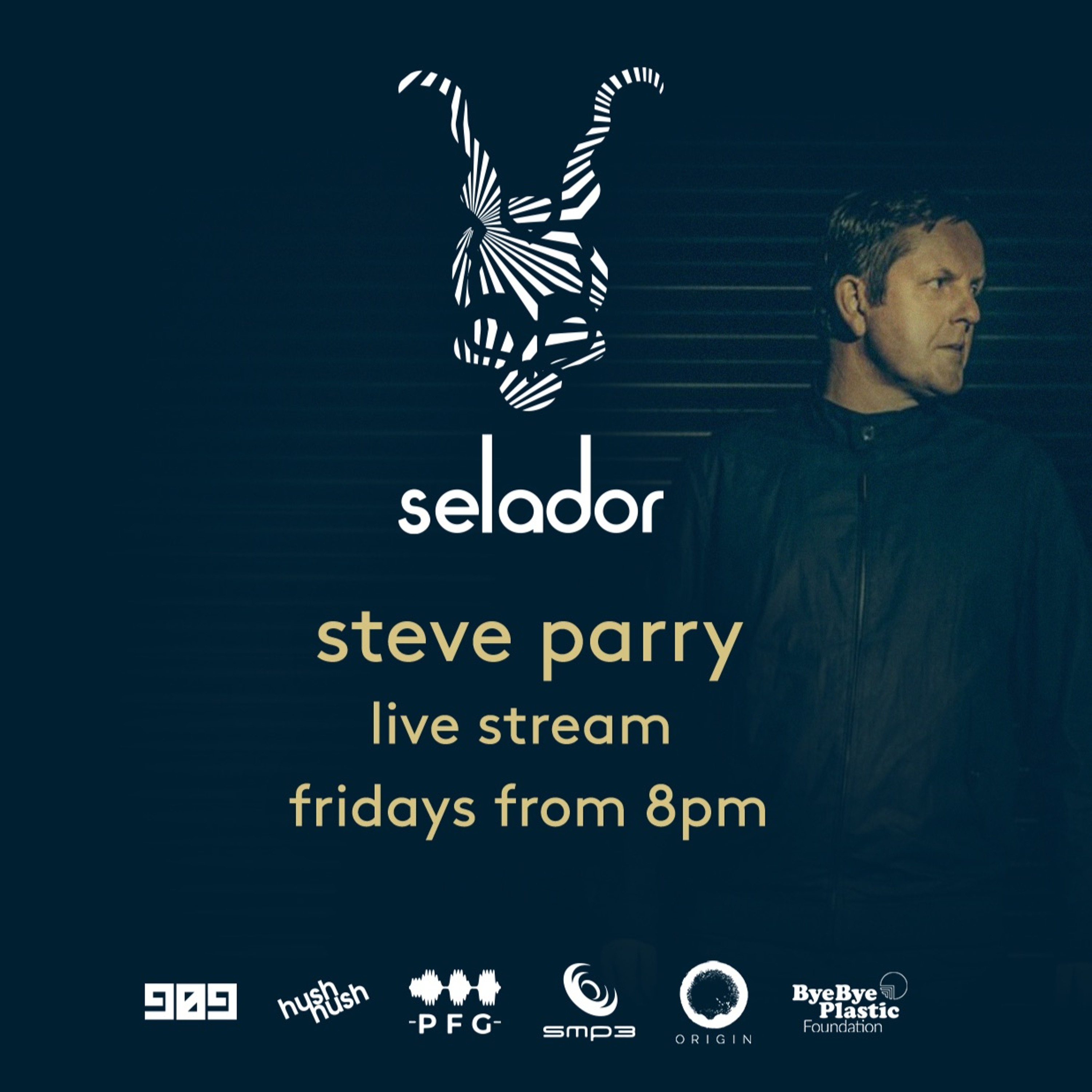 steveparrydj