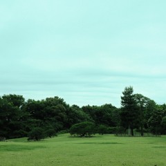 Log_20230531（demo）