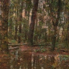 tudo que não tem - [demo]