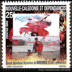 seedling (organ tapes cover) [jharko7890]