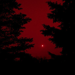 RESENTVUL - RED RUM [TYSTERIA REMIX] FEAT. GHOSTMANE [FREE DL]