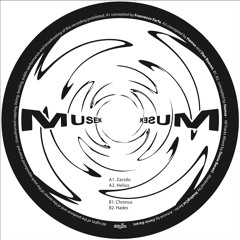 B1.Hamsa - Chronus