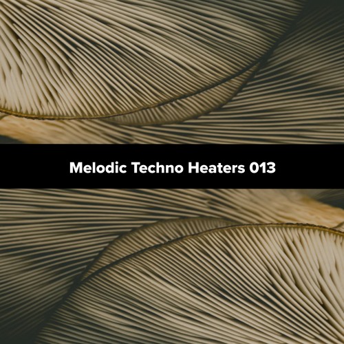 Melodic Techno Heaters 013