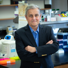 The Healing Circuit: How Your Vagus Nerve Calms Inflammation With Dr. Kevin Tracey