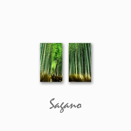 Sagano / - Future pop -
