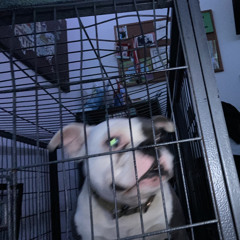 work. @gaallonx @cyhs @mrtophat @zvmt1