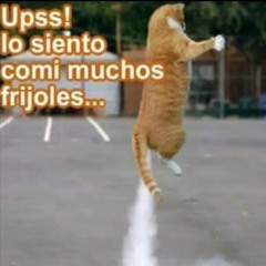 dolcat-spid-pvulo-juice