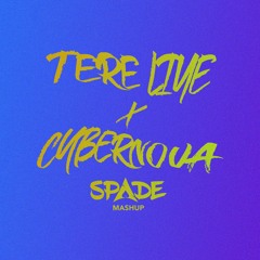 Tere Liye X Cybernova  (Spade Mashup)