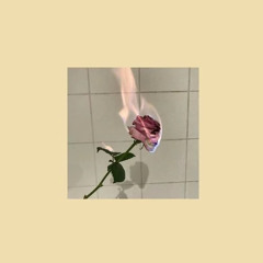 so low - shiloh dynasty (unreleased)