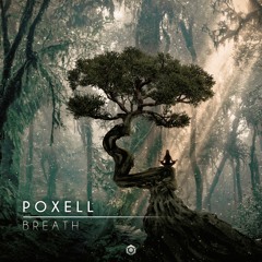 Poxell - The Light >> Out Now >> Blue Tunes