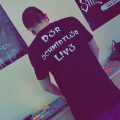 Schmidtler Live