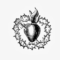 espinas y mariposas