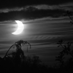 Rising For The Moon