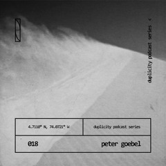 Duplicity 018 | Peter Goebel