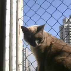 dj qoty - Technology Guess (Deville Bootleg) X GigaChad Theme (Phonk House Version)