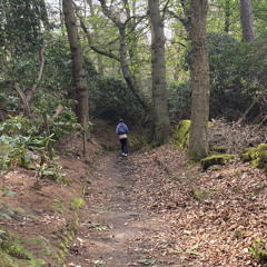 Young Folks - Peter Bjorn and John (Cover) - King Purple